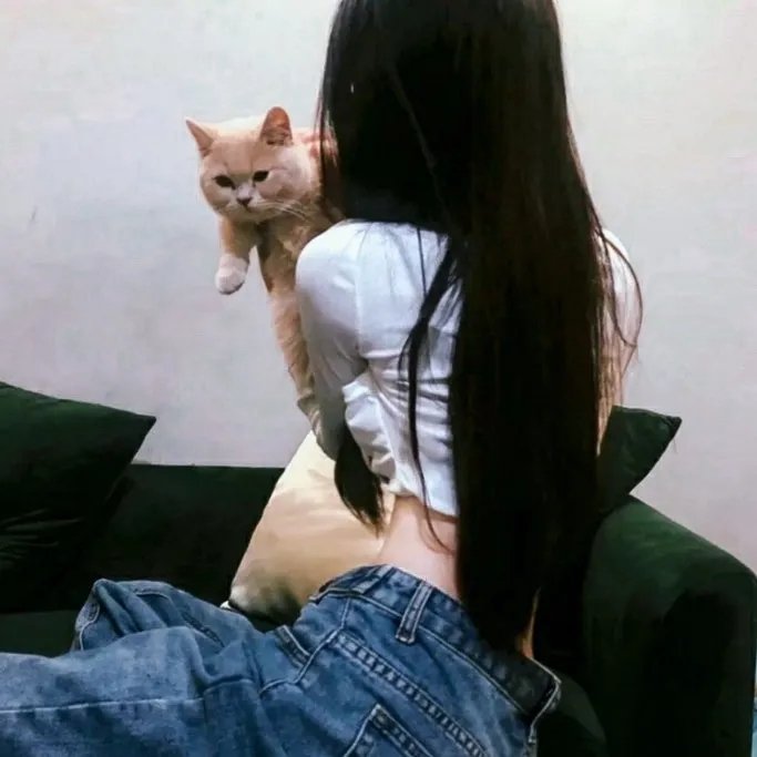 姐妹煞 排行榜