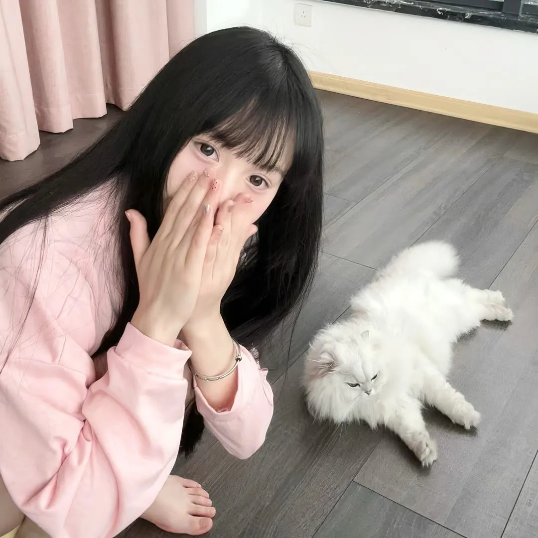 黑艳凤 在线观看